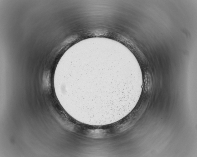 X0000111370212200908211325