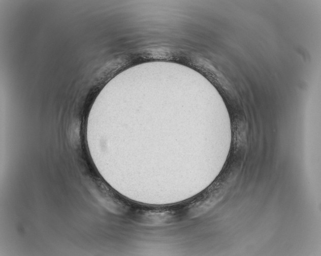 X0000111370213200908211325