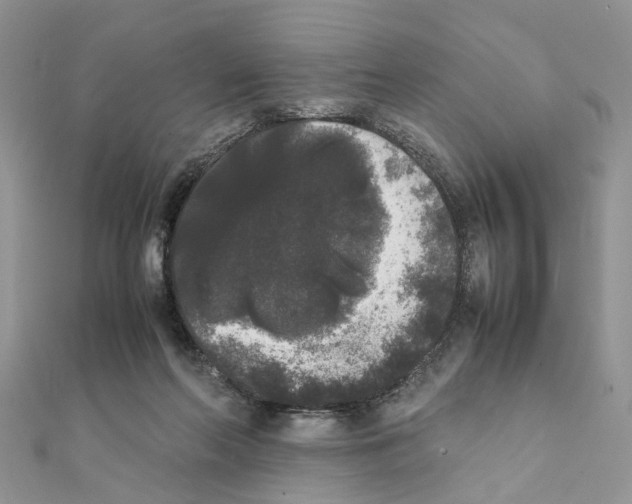 X0000111370214200908211325