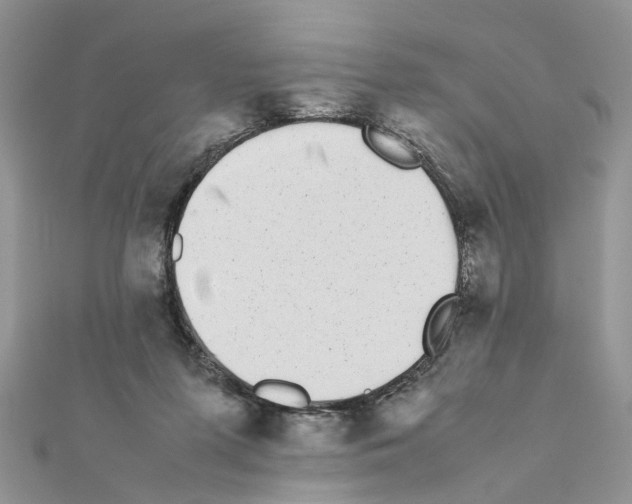 X0000111370215200908211325