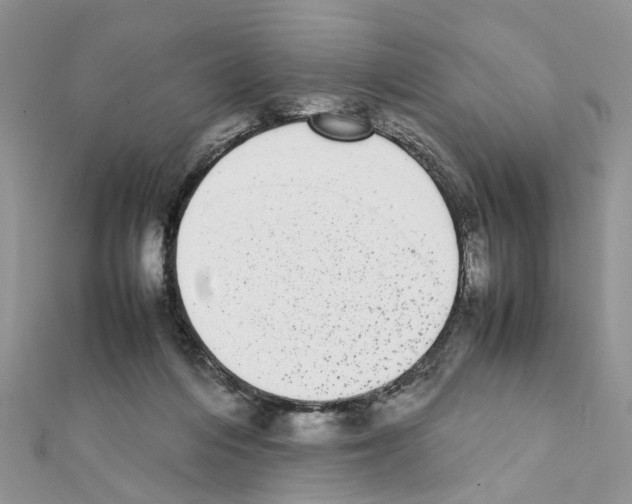 X0000111370216200908211325