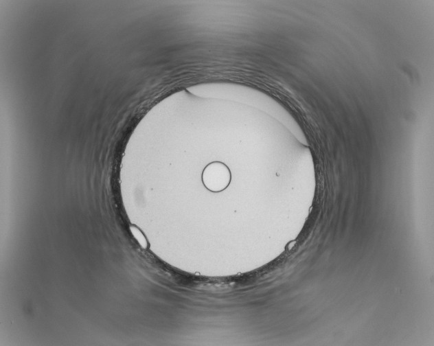 X0000111370217200908211325