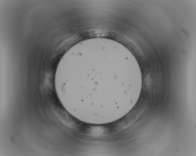 X0000111370218200908211325