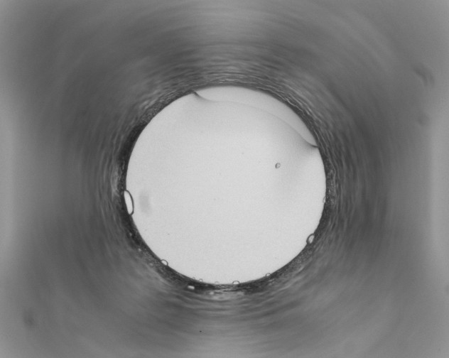 X0000111370219200908211325