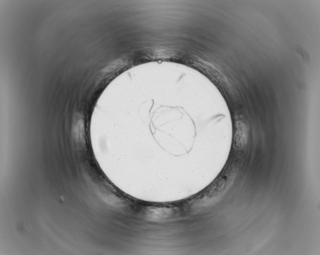 X0000111370220200908211325