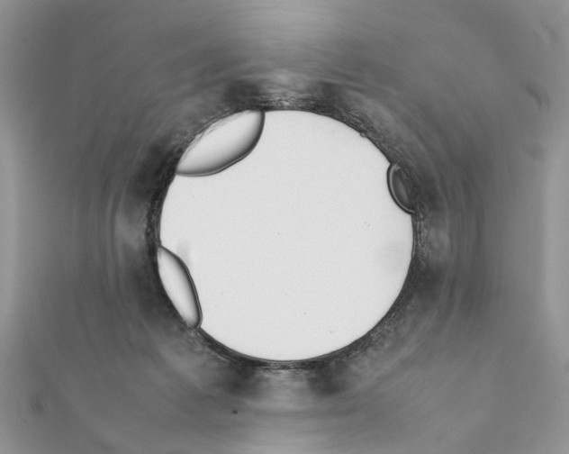 X0000111370221200908211325
