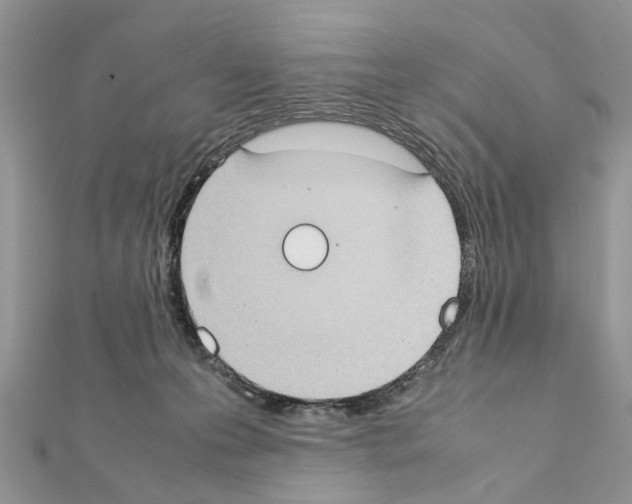 X0000111370223200908211325