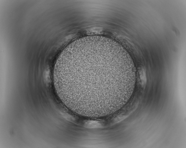 X0000111370224200908211325