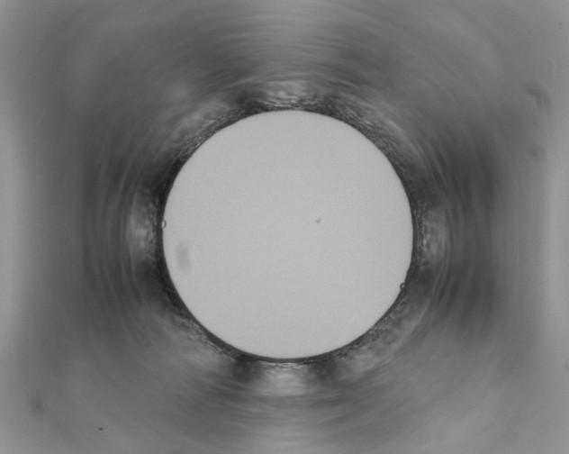 X0000111370226200908211325