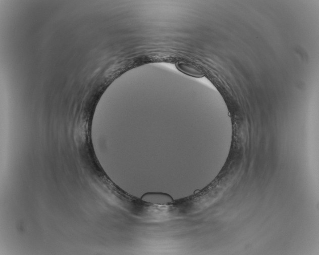 X0000111370227200908211325