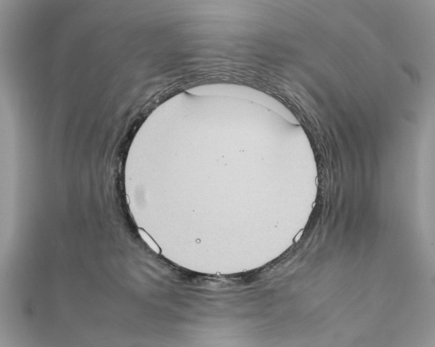 X0000111370229200908211325