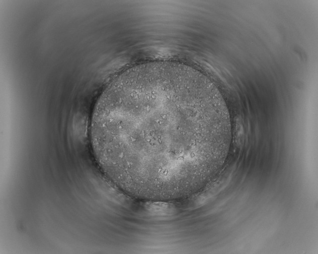 X0000111370230200908211325