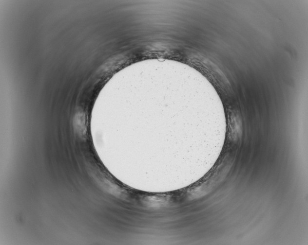 X0000111370232200908211325