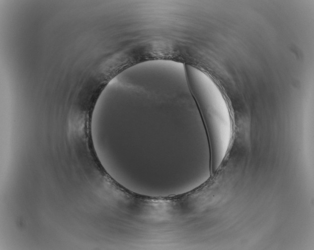 X0000111370233200908211325