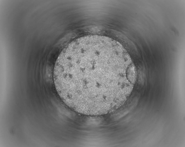 X0000111370234200908211325