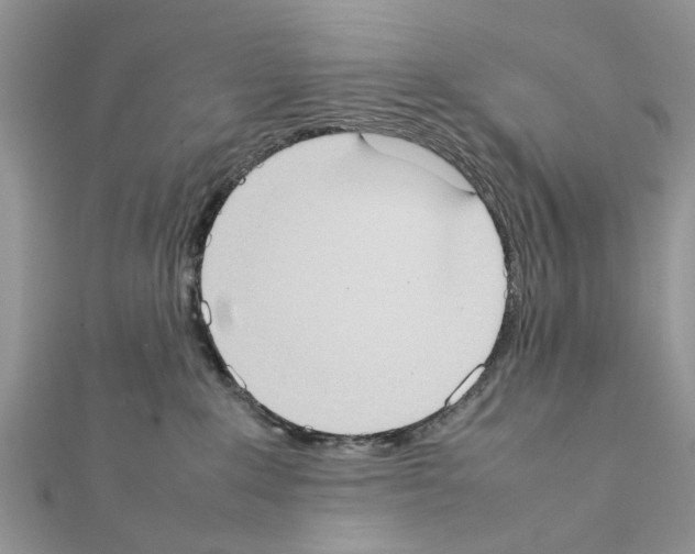 X0000111370235200908211325