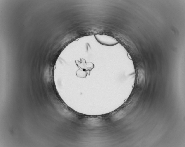 X0000111370236200908211325