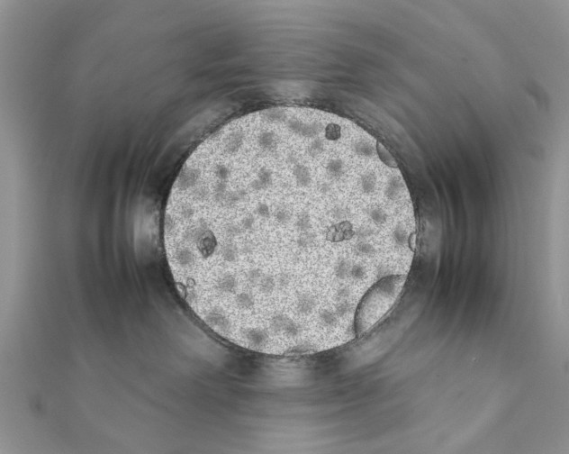 X0000111370238200908211325