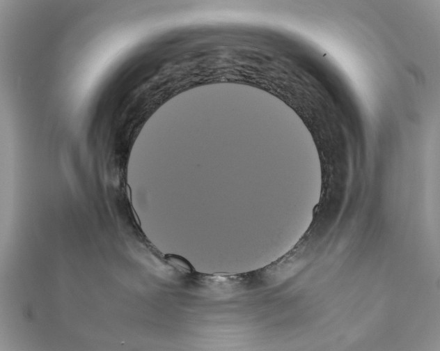 X0000111370239200908211325