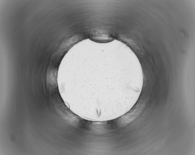 X0000111370240200908211325