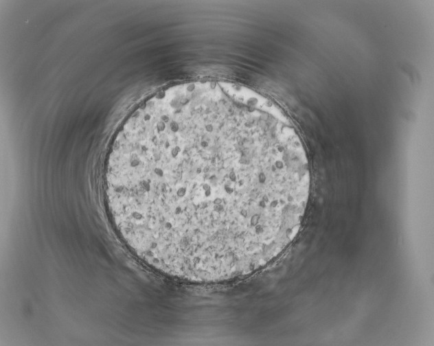 X0000111370241200908211324