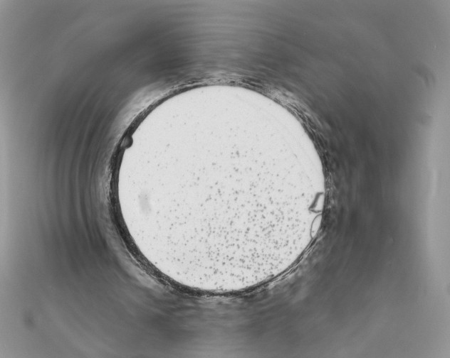 X0000111370242200908211324
