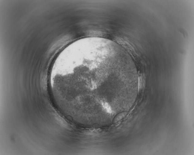 X0000111370243200908211324