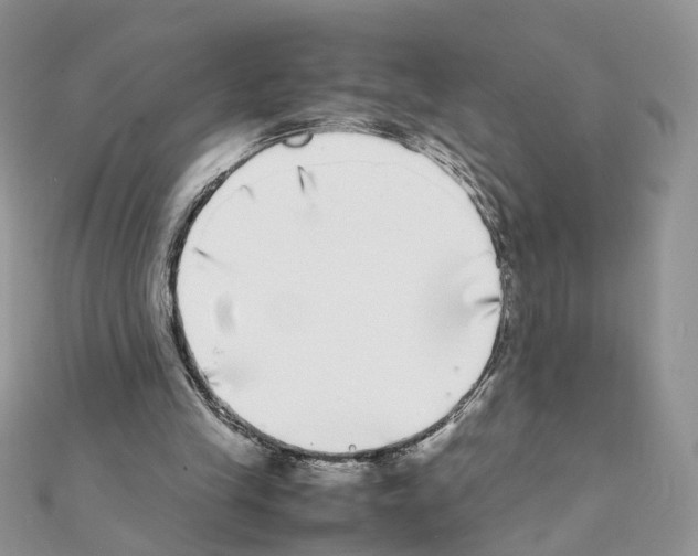 X0000111370245200908211324