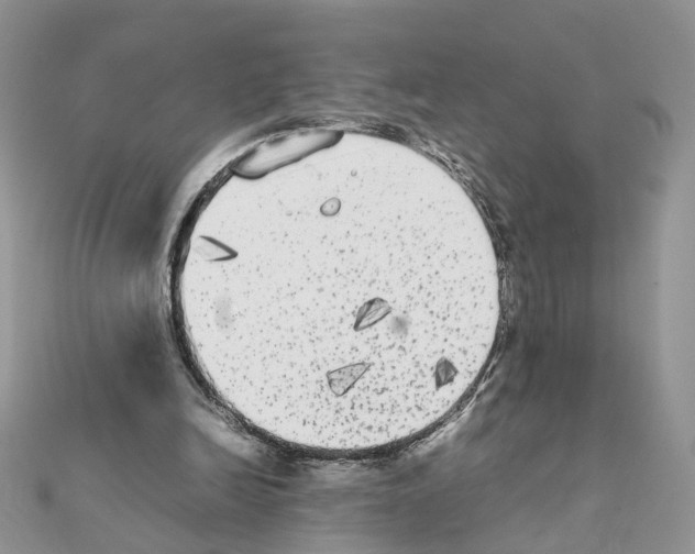 X0000111370246200908211324