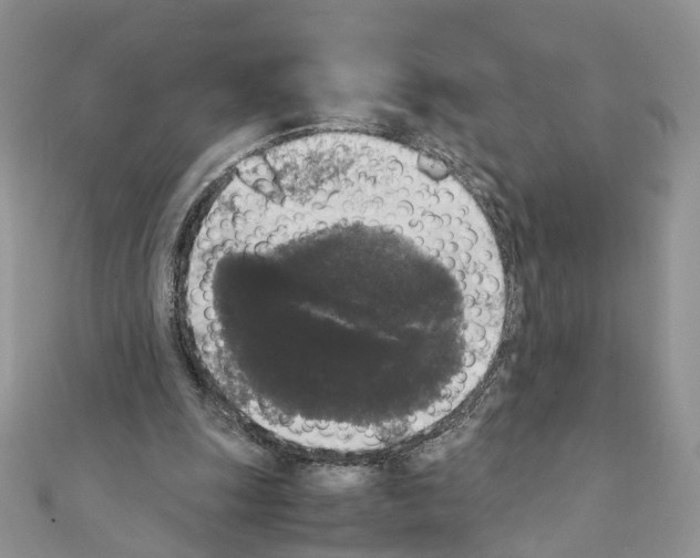 X0000111370247200908211324