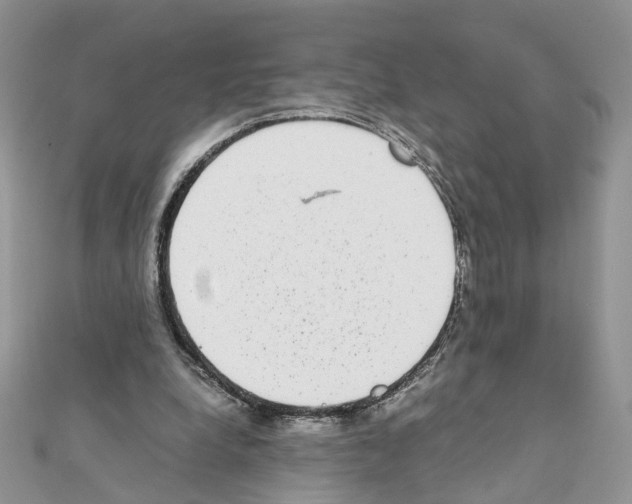 X0000111370248200908211324