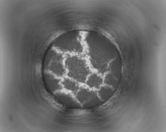 X0000111370249200908211324