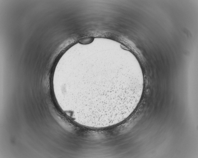 X0000111370250200908211324