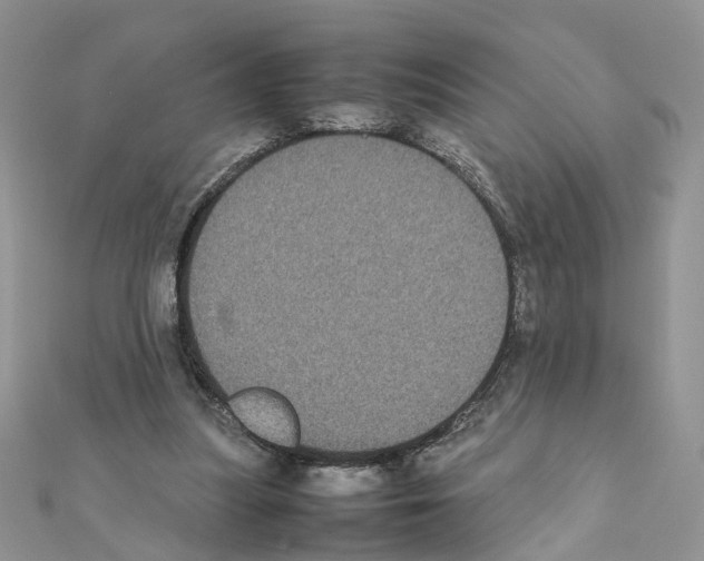 X0000111370251200908211324