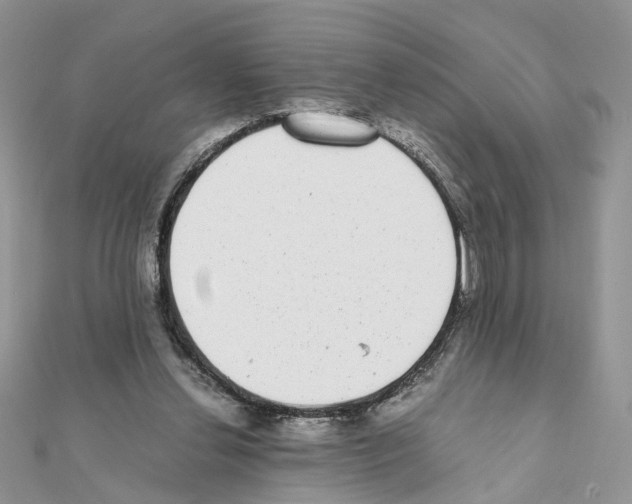 X0000111370252200908211324