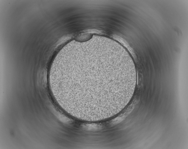 X0000111370253200908211324