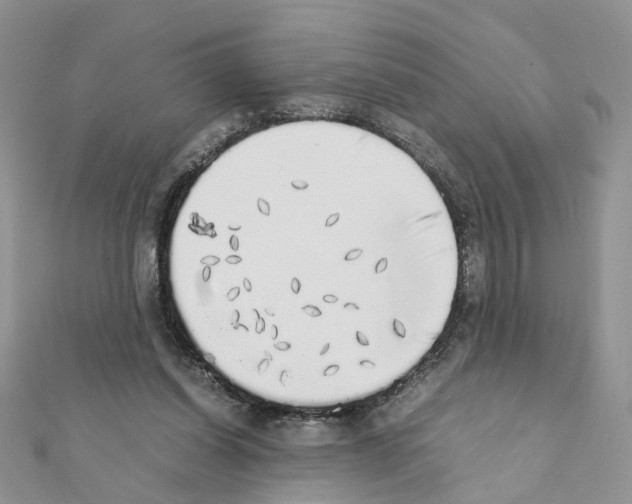 X0000111370254200908211324