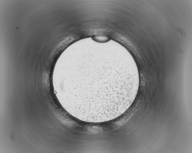 X0000111370258200908211324