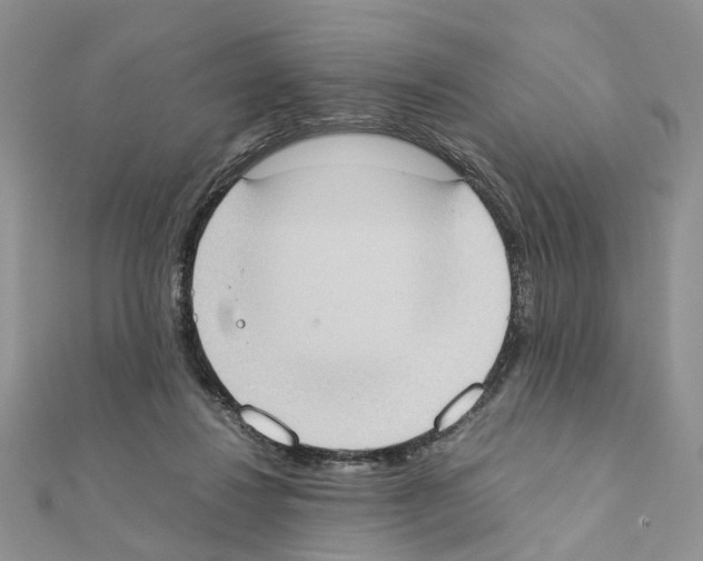 X0000111370260200908211324