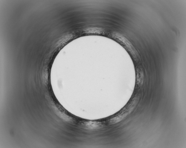 X0000111370261200908211324