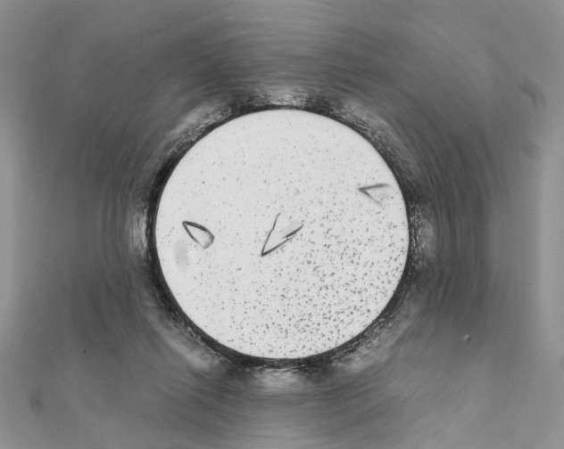 X0000111370262200908211324