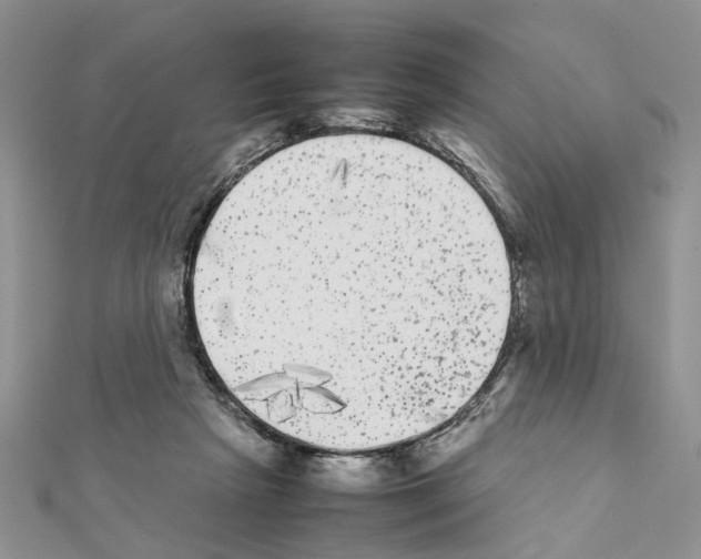 X0000111370265200908211324