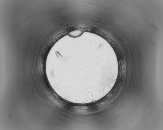 X0000111370266200908211324