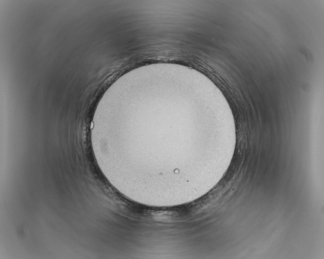 X0000111370268200908211324