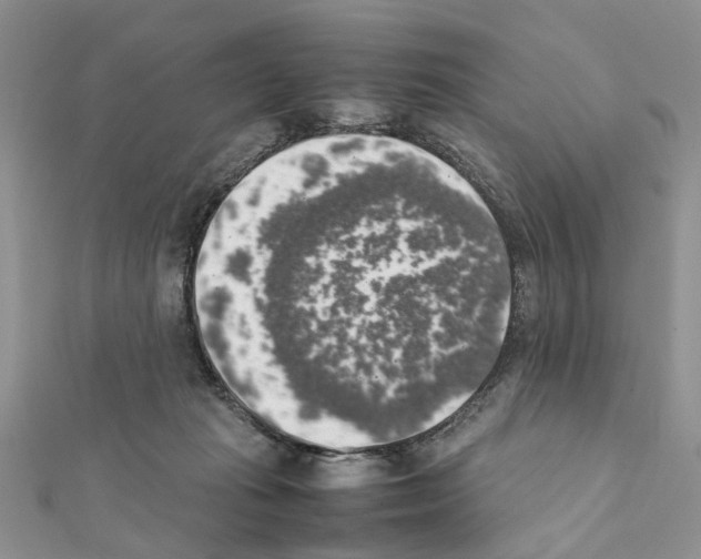 X0000111370269200908211325