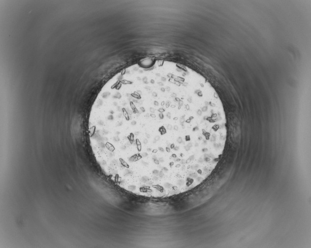 X0000111370270200908211325