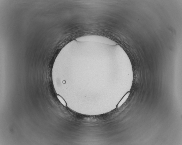 X0000111370272200908211325
