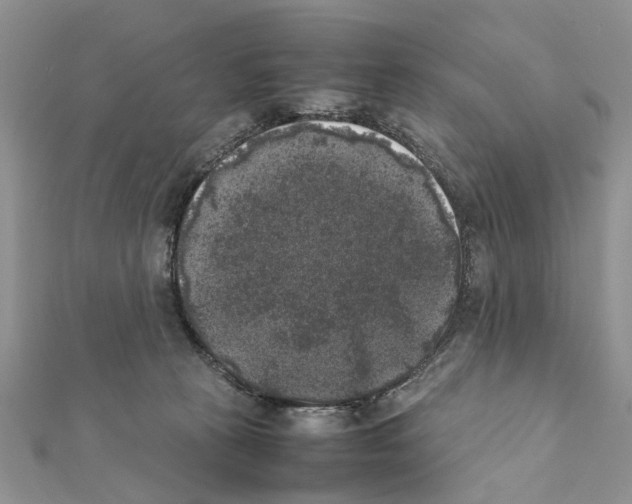 X0000111370273200908211325