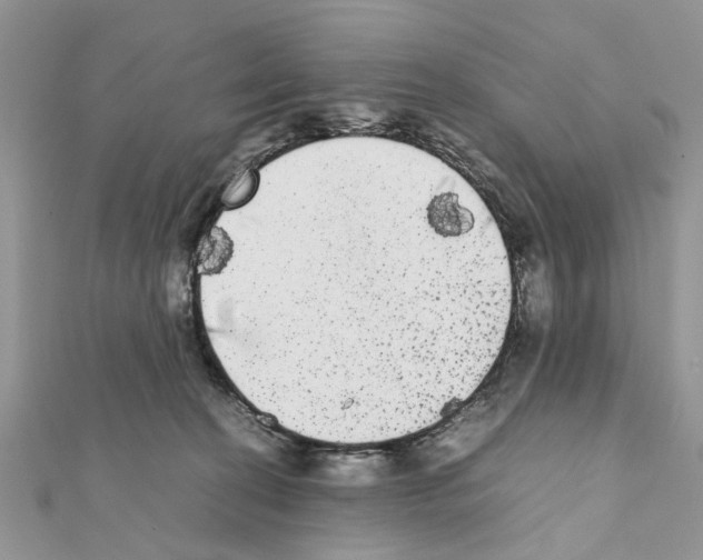 X0000111370274200908211325