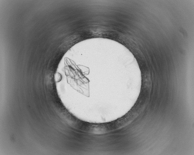 X0000111370275200908211325